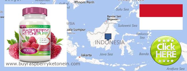 Gdzie kupić Raspberry Ketone w Internecie Indonesia